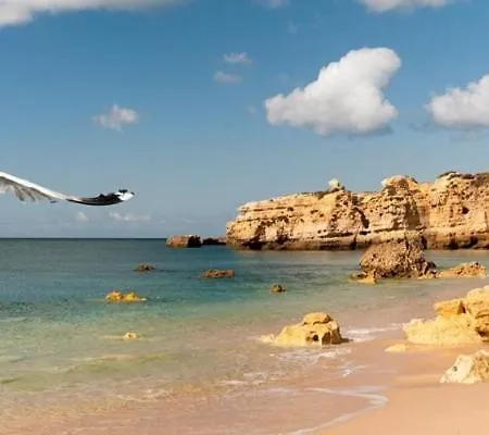 Espaçoso T2, Em Olhos Agua * Albufeira